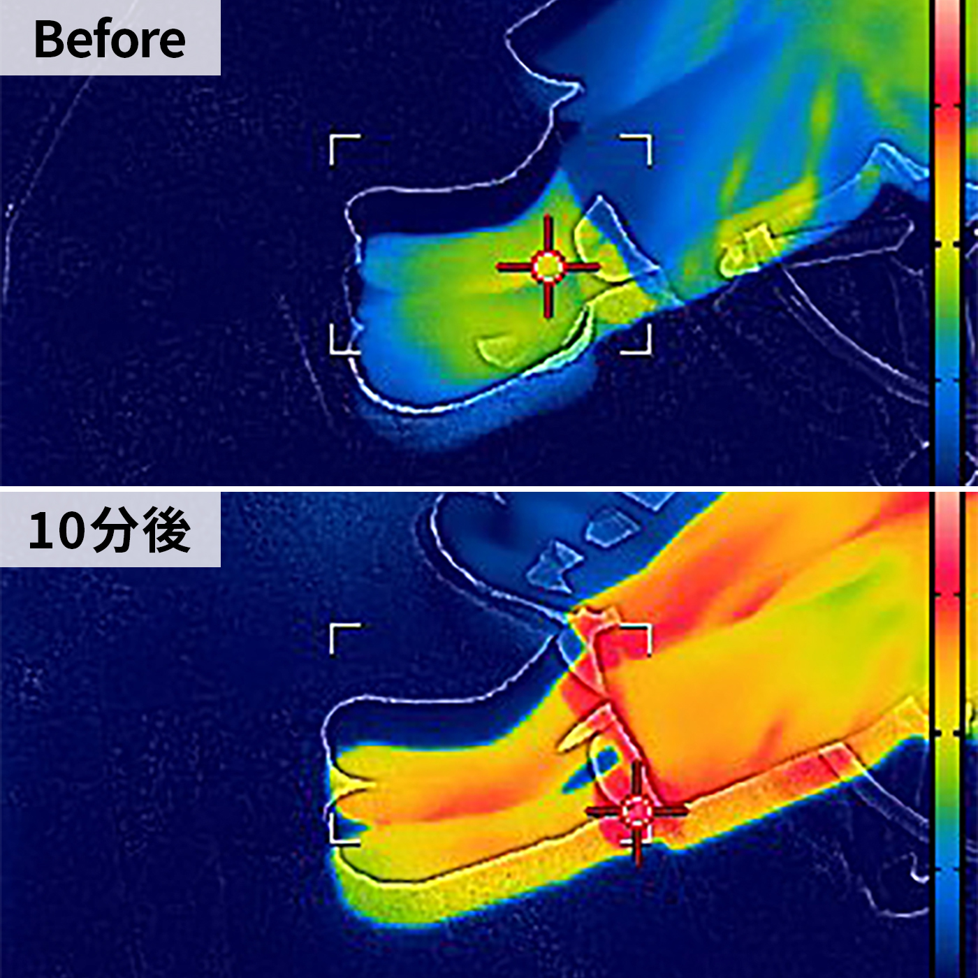 パナソニック Panasonic デスクヒーター DC-PKD4-Hを検証レビュー