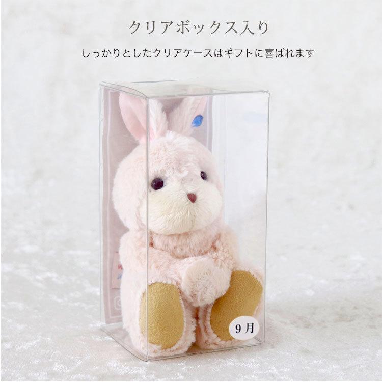 バニークリスタル 5
