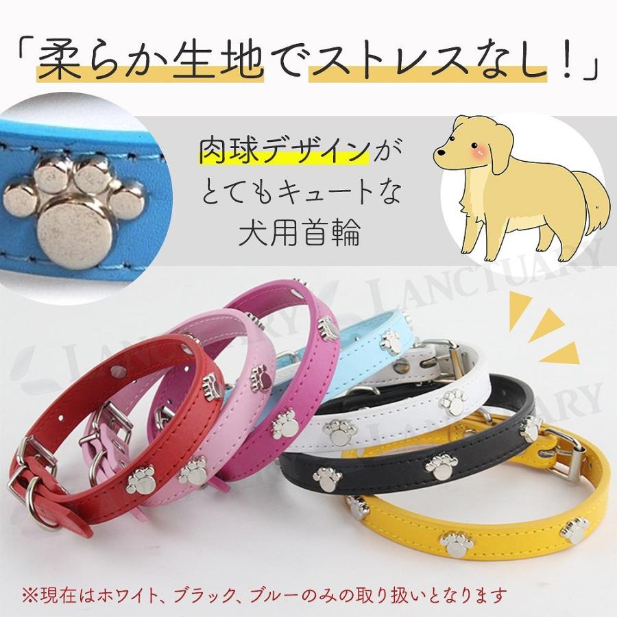 犬用首輪 2