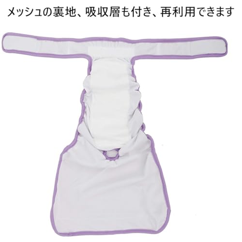 犬用オムツ 6