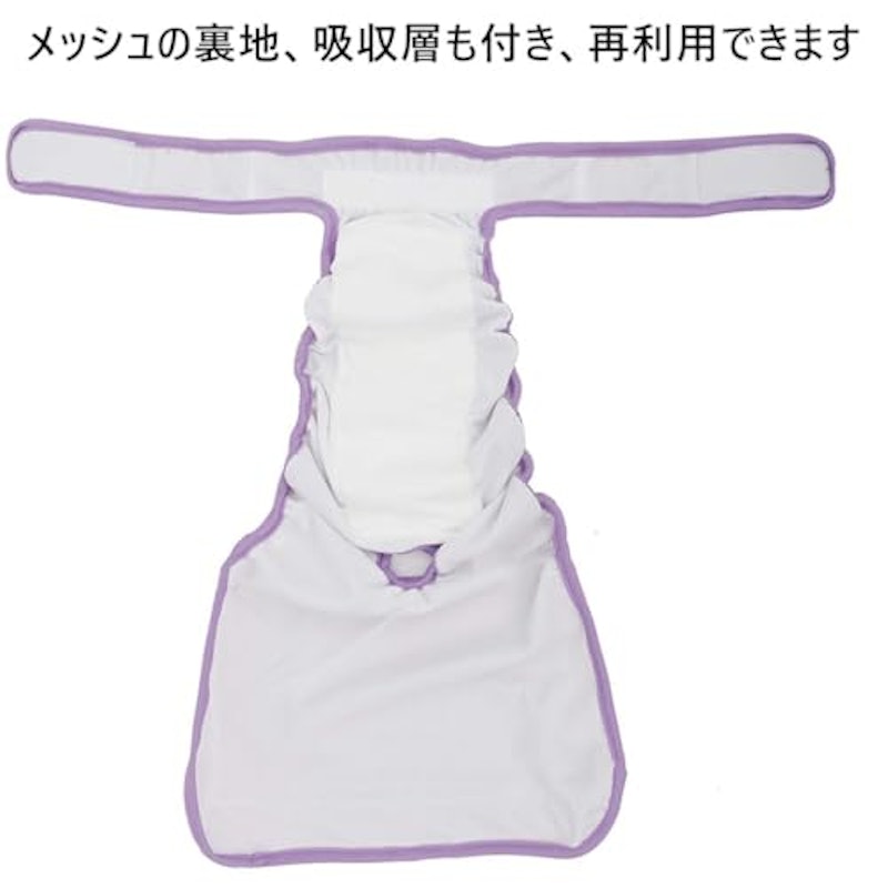 犬用オムツ 6