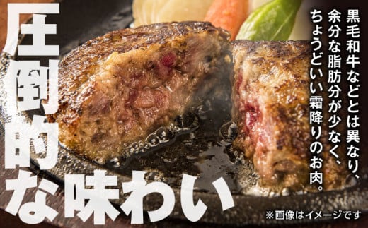 肥後の赤牛 ハンバーグ 3