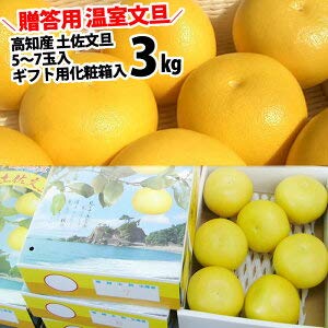ハウス文旦 高知産 1