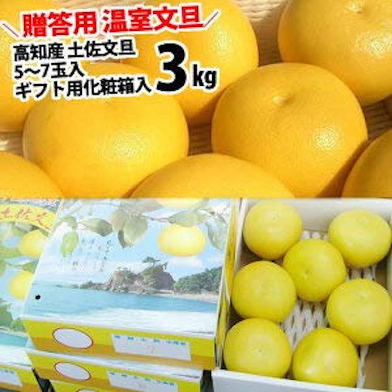 ハウス文旦 高知産 1