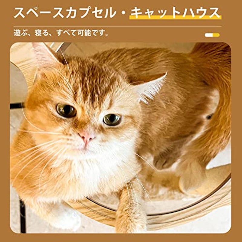 猫用スクラッチポスト 6