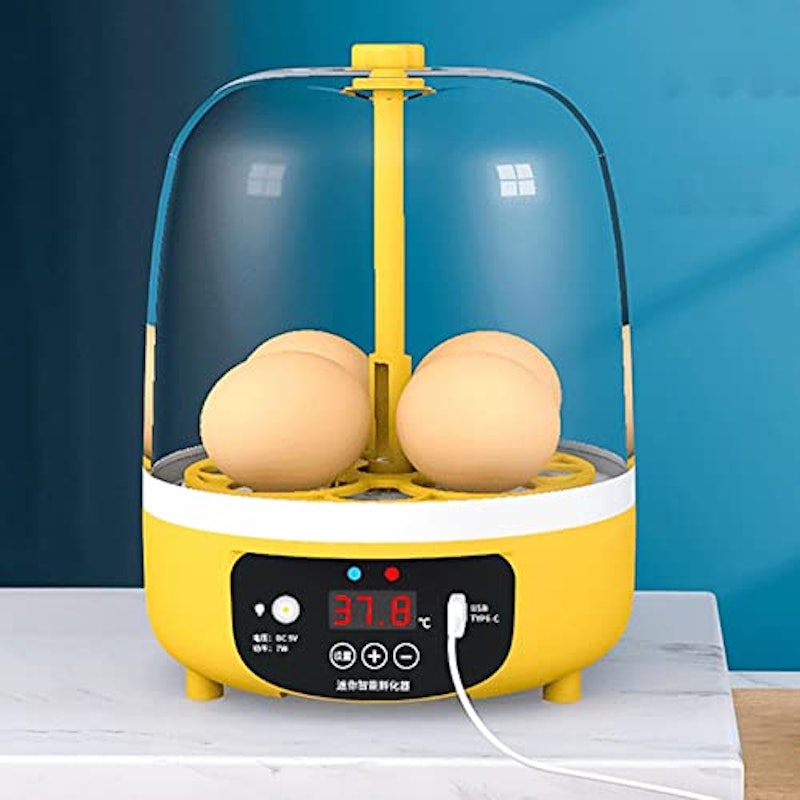 孵卵器 2