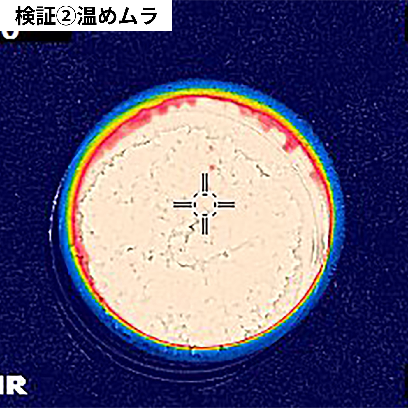 ごはん冷凍保存容器 7