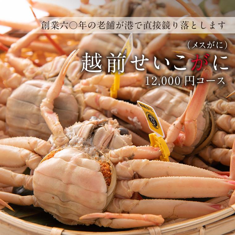  越前ガニ 2