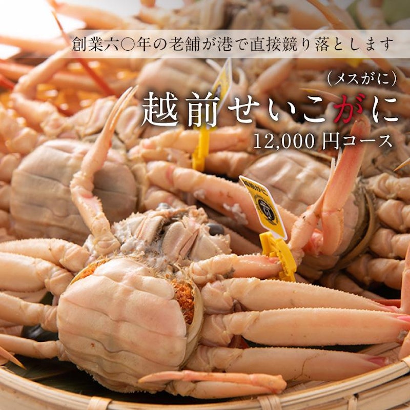 越前ガニ 2