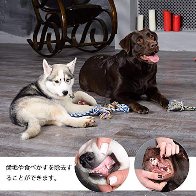 犬用留守番おもちゃのおすすめ人気ランキング10選 Mybest 犬用留守番おもちゃのおすすめ人気ランキング10選 Mybest