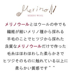 あみもねっと 気になるメリノ極太 4