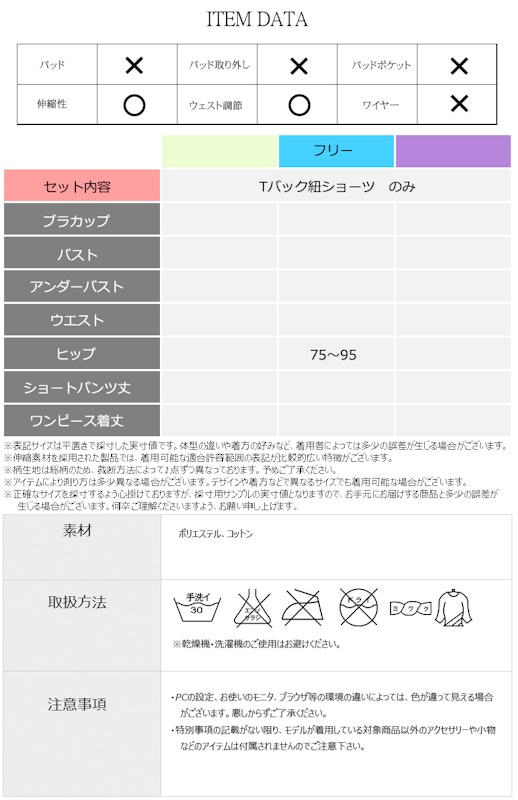 Tバックショーツ 4