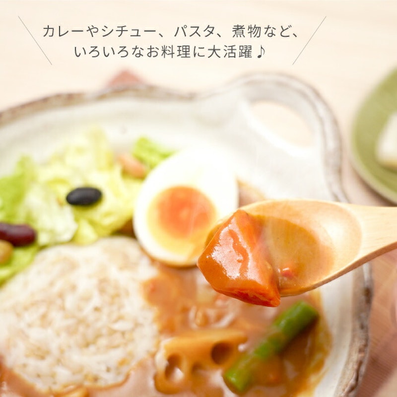 美濃焼 カレー皿セット 5