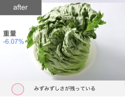 162L 冷凍冷蔵庫 12