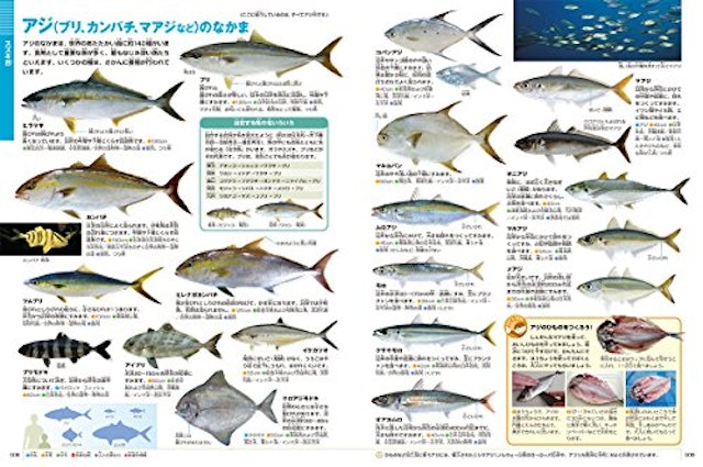 21年 魚図鑑のおすすめ人気ランキング15選 Mybest 21年 魚図鑑のおすすめ人気ランキング15選 Mybest