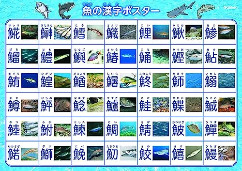 魚 新版 7
