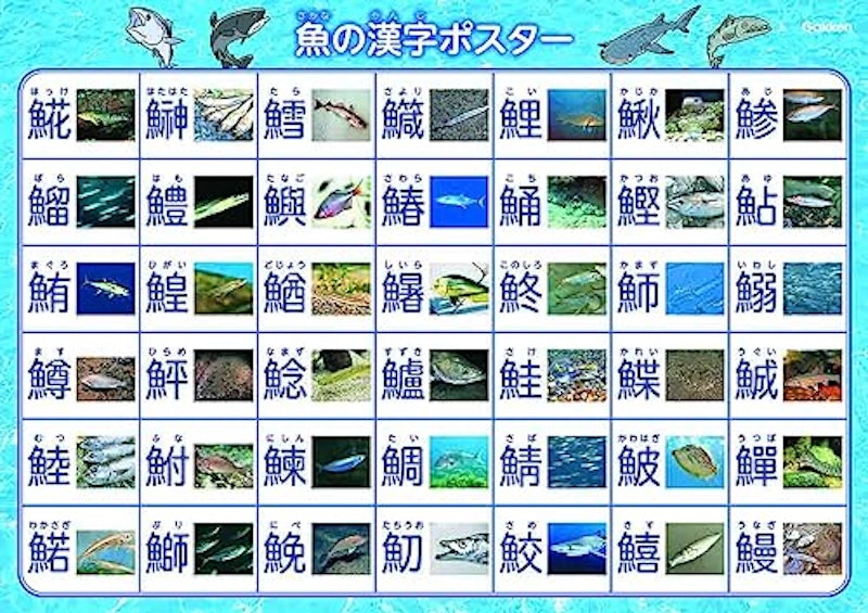 魚 新版 7