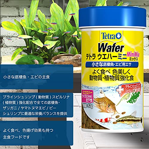 22年 ザリガニの餌のおすすめ人気ランキング選 Mybest