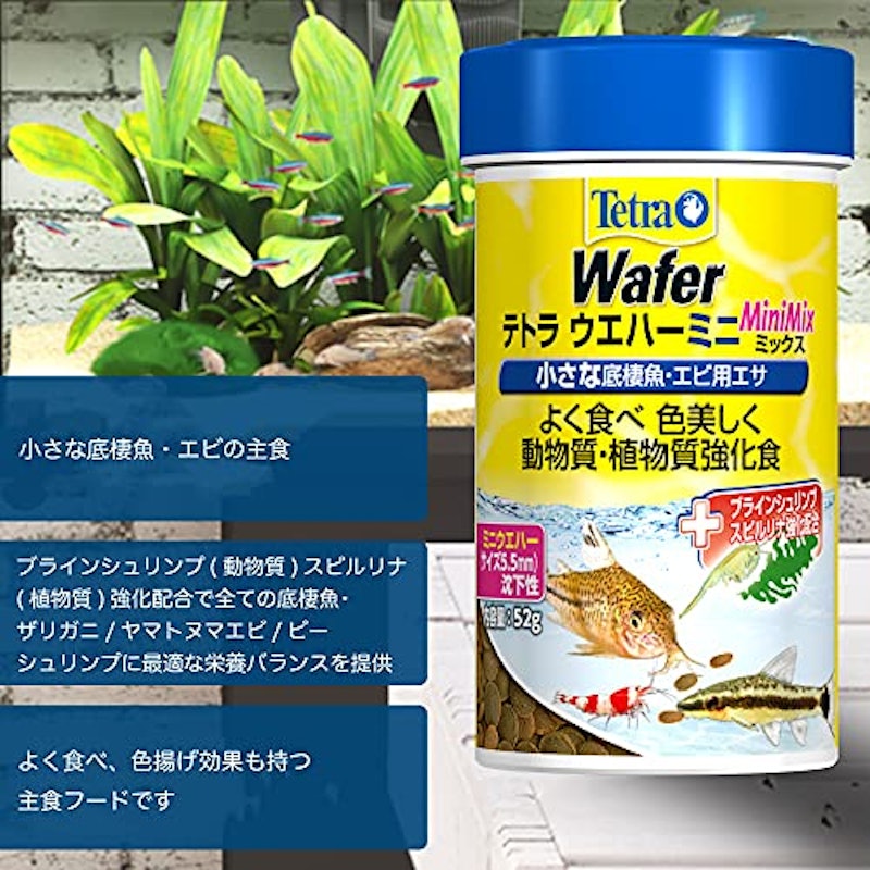 22年 ザリガニの餌のおすすめ人気ランキング選 Mybest 22年 ザリガニの餌のおすすめ人気ランキング選 Mybest