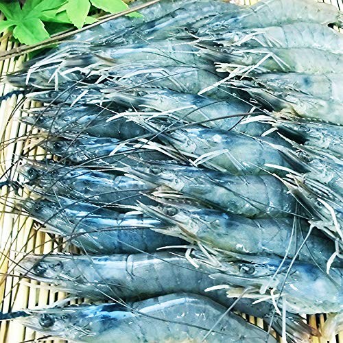 22年 お取り寄せ海老のおすすめ人気ランキング12選 Mybest