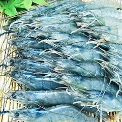 22年 お取り寄せ海老のおすすめ人気ランキング12選 Mybest 22年 お取り寄せ海老のおすすめ人気ランキング12選 Mybest