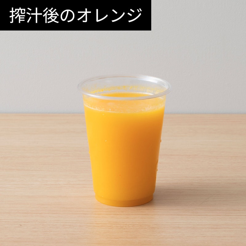 スロージューサー 9