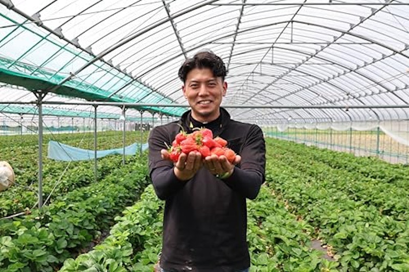 九州の宝物 冷凍あまおう 2