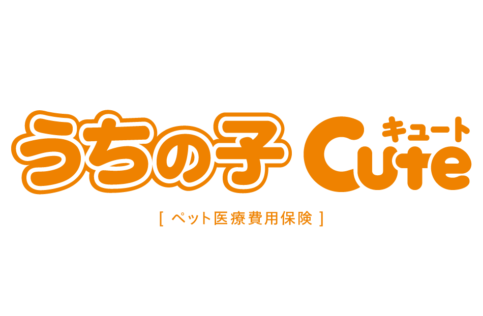 うさぎのペット保険のおすすめ 3