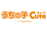 うさぎのペット保険のおすすめ 3