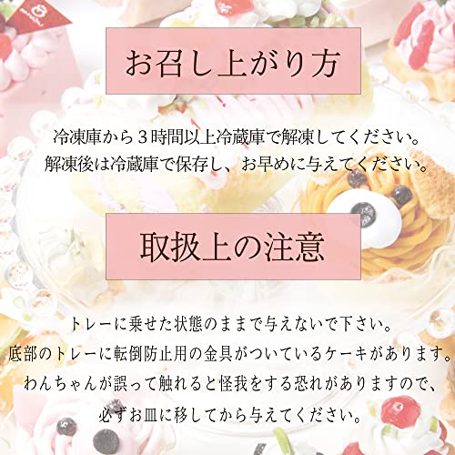 犬用ケーキ 5