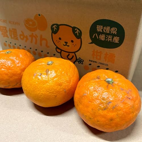 甘平 訳あり 3