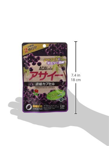 フルッタフルッタアサイーピューレ 100g×4袋 15セット6kg - アサイー
