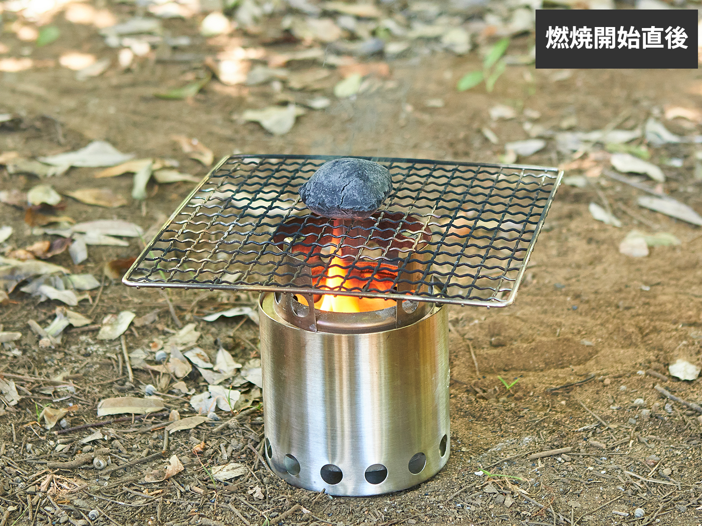 Bush Craft ティンダーウッド 4