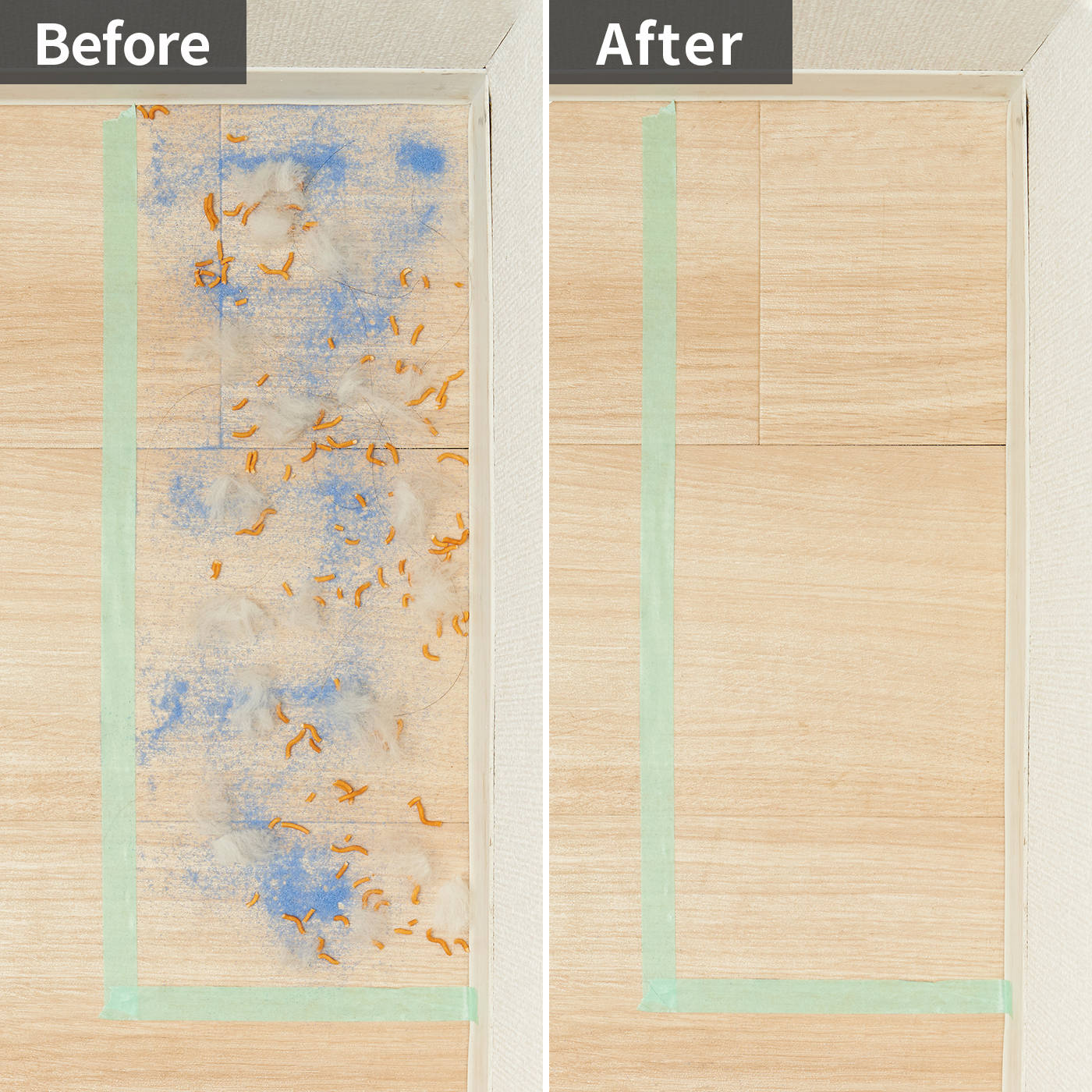 三菱電機 Be-K 紙パック式クリーナー TC-FXG5J-Aを検証レビュー