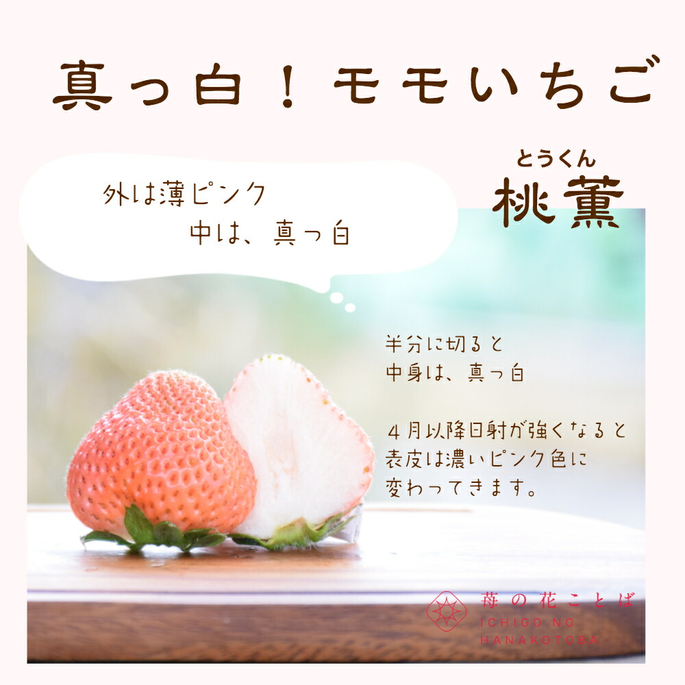 雪国完熟いちご越後姫桃薫食べ比べセット 7