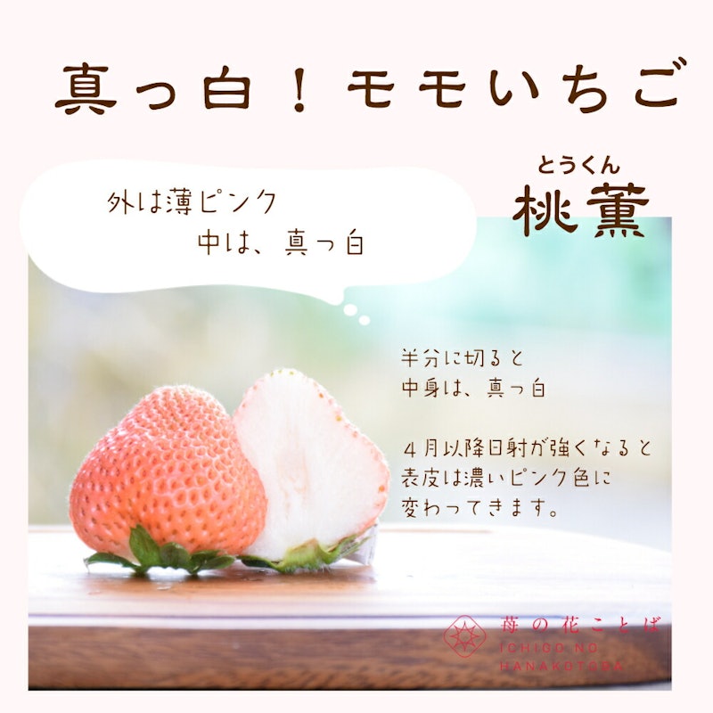 雪国完熟いちご越後姫桃薫食べ比べセット 7