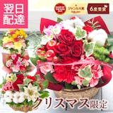 付き合いたての彼女に贈るクリスマスプレゼントのおすすめ人気ランキング【2026年】 4