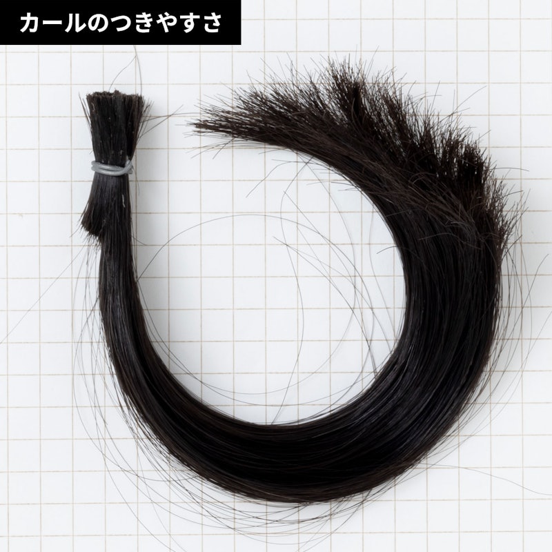 エクストリームカールII プラス 6