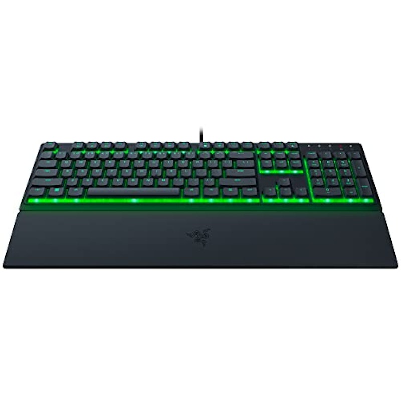 Ornata V3 X 1