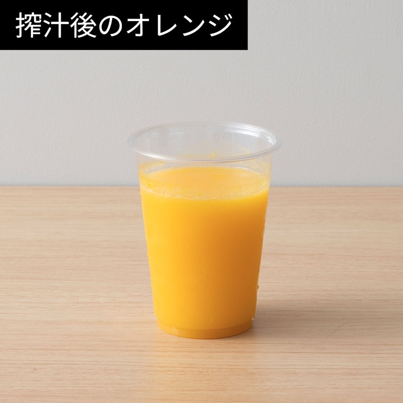 スロージューサー 9