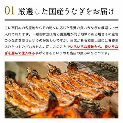 大サイズ 国産うなぎ蒲焼 2本 4