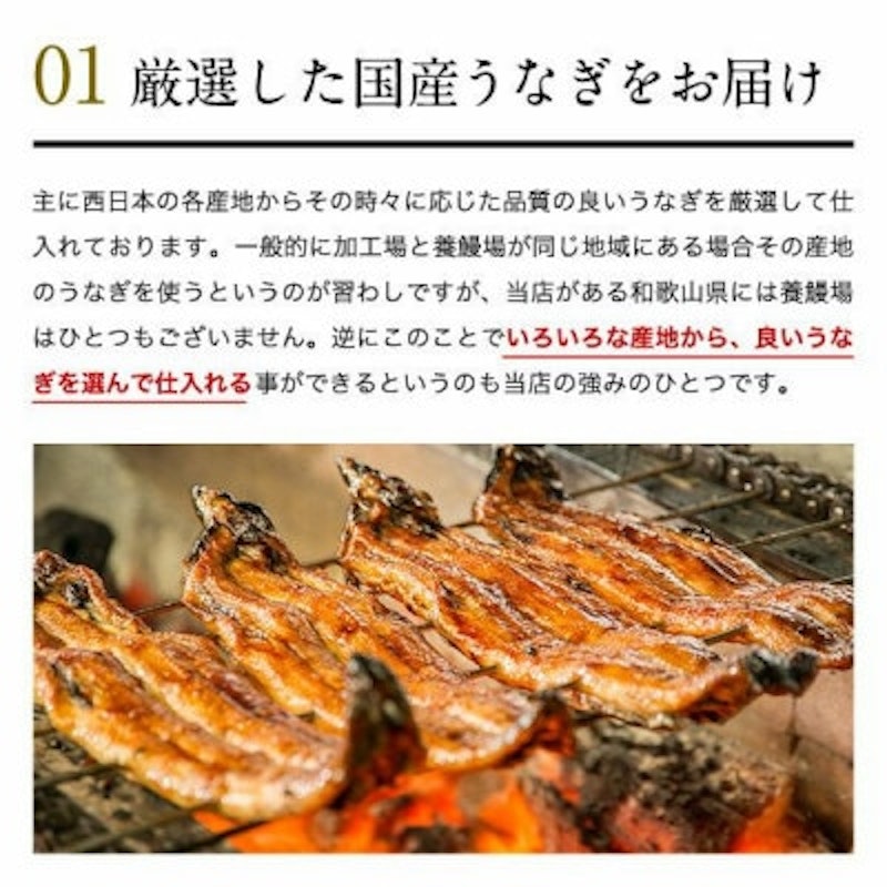 大サイズ 国産うなぎ蒲焼 2本 4