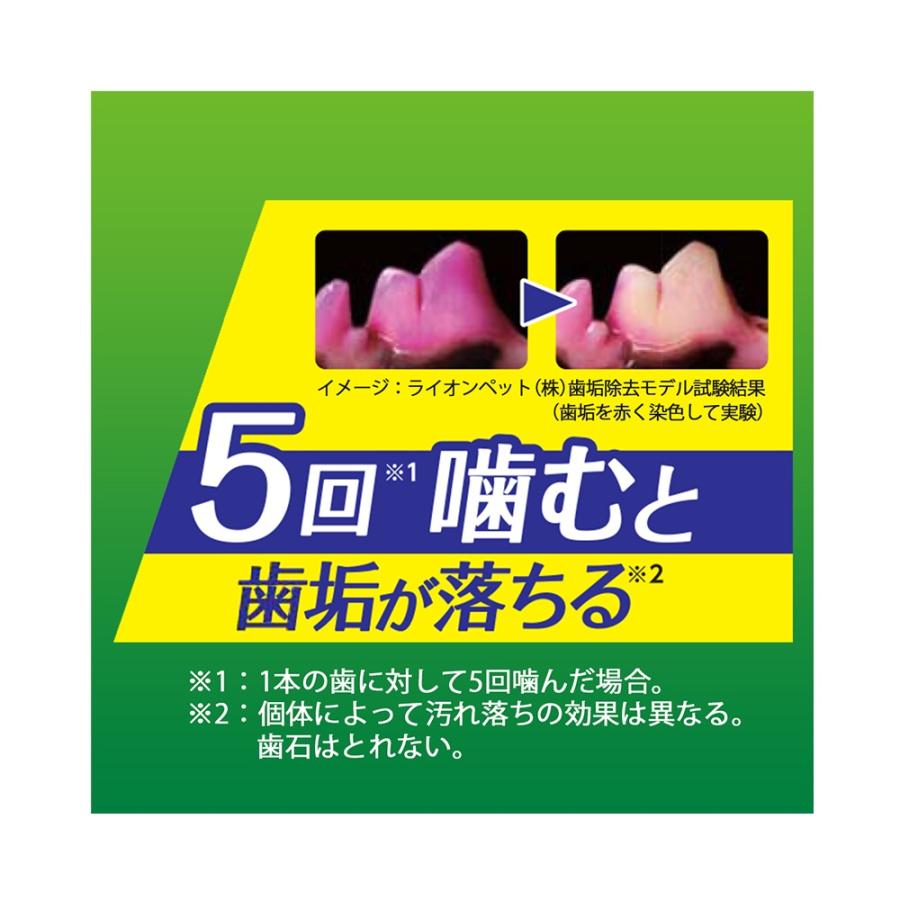 食後の歯みがきガム 3