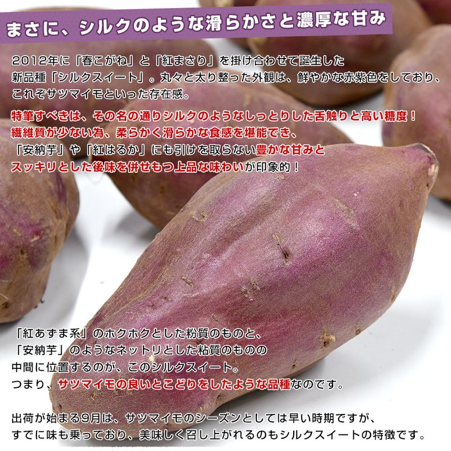 2022年新物 鹿児島産 訳あり 紅あずま好きにも 安納芋 生芋 さつまいも 5kg サツマイモ