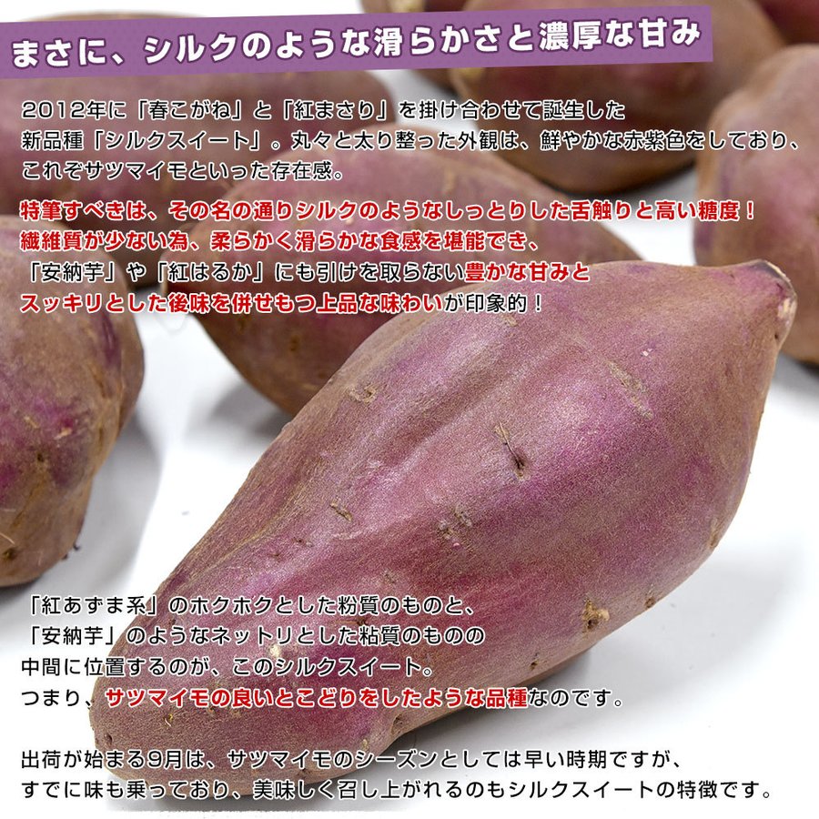 2022年新物 鹿児島産 訳あり 紅あずま好きにも 安納芋 生芋 さつまいも 5kg サツマイモ 2022年新物 鹿児島産 訳あり 紅あずま好きにも 安納芋 生芋 さつまいも 5kg サツマイモ