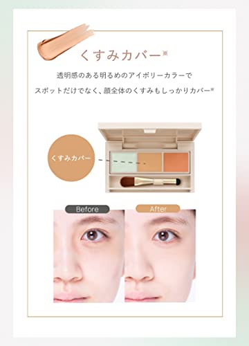 パレットコンシーラー 6