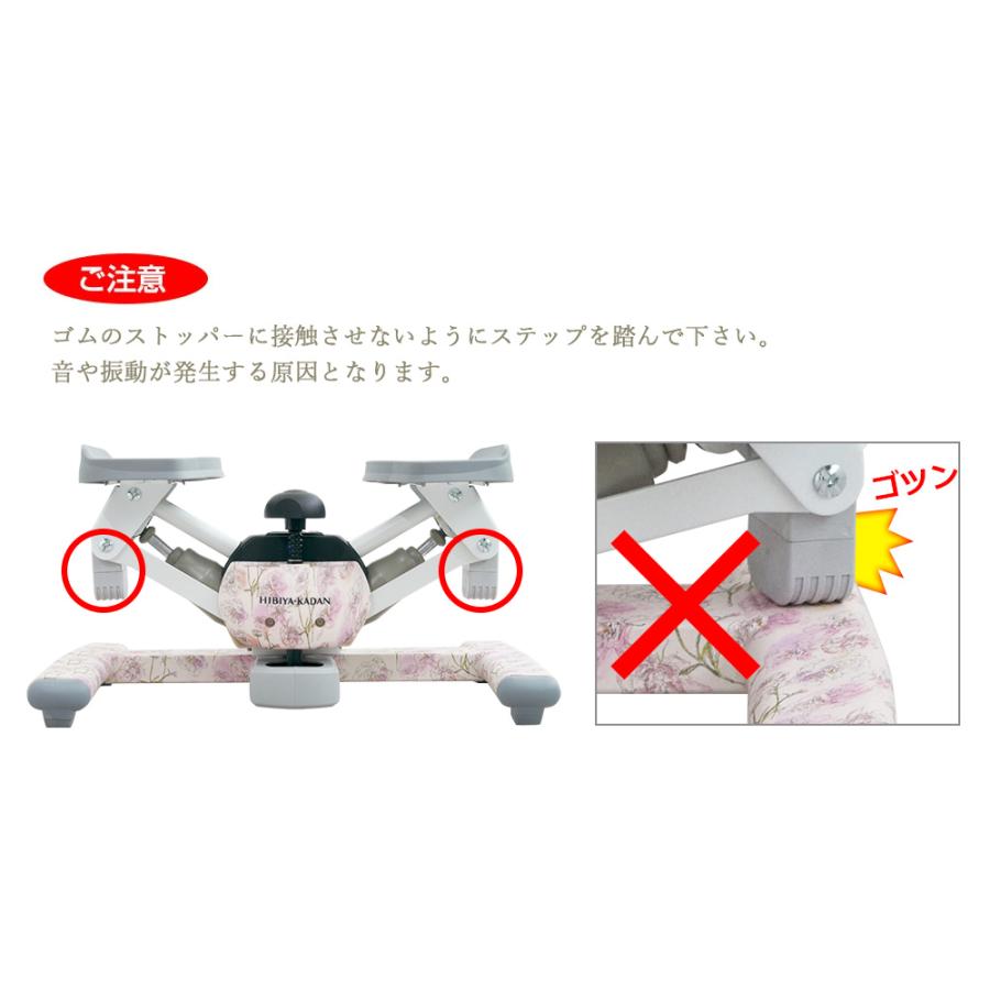 ツイストエアロステッパー Premium 17