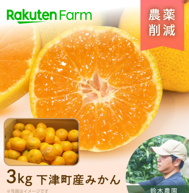 鈴木農園 早生みかん 1