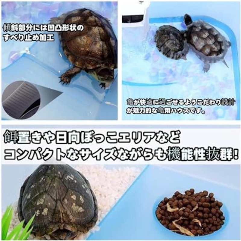 カメ用水槽 4