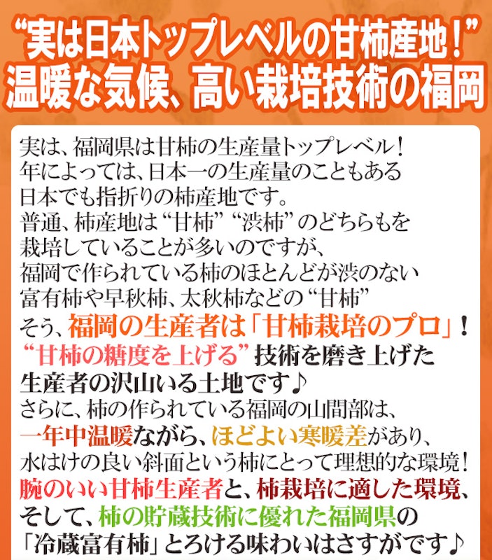 福岡産 訳あり富有柿 4